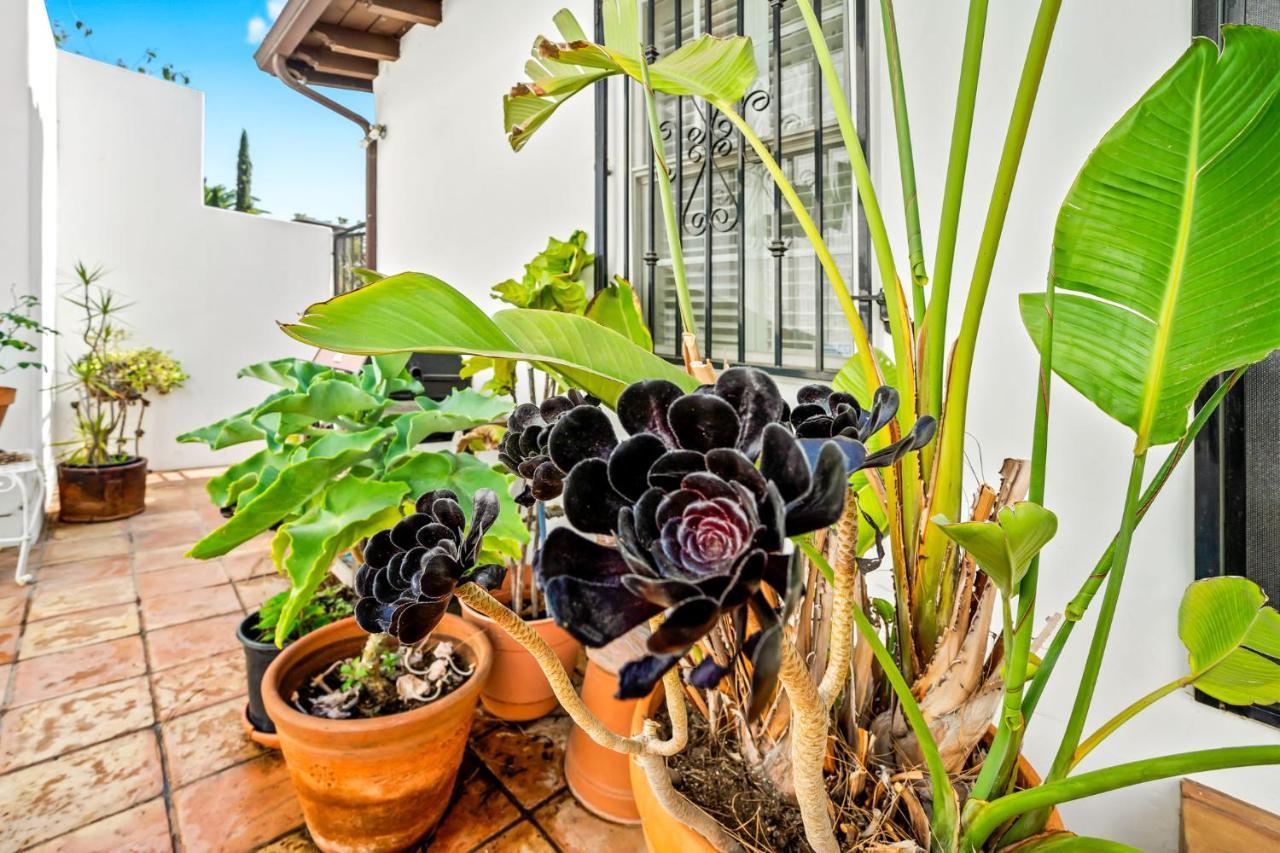 Hollywood Hills Homestay Los Angeles Dış mekan fotoğraf